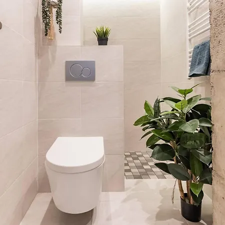 Living Berabera * San Sebastián